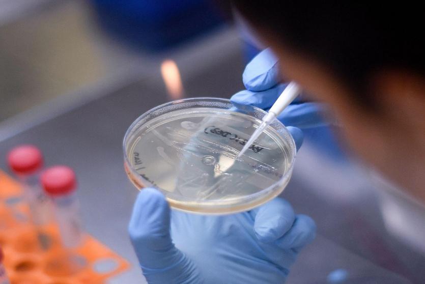 تجارب على لقاح 