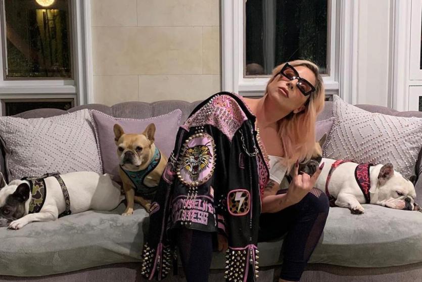 ليدي غاغا مع كلابها
