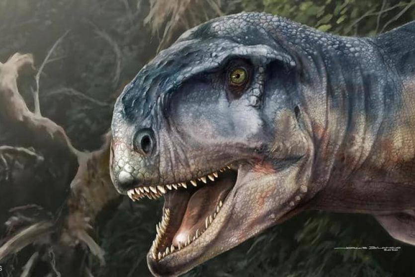 رسم تقريبي للديناصور في الأرجنتين