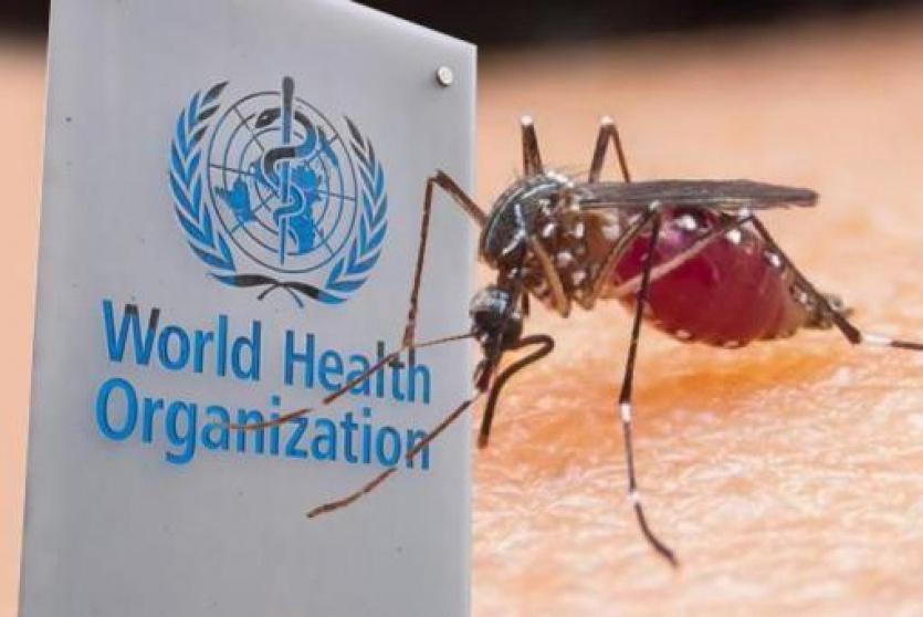 الصحة العالمية تعتزم القضاء على الملاريا في 25 بلدا إضافيا
