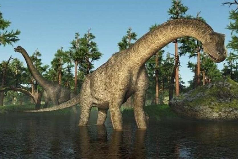 ديناصور عملاق - توضيحية 