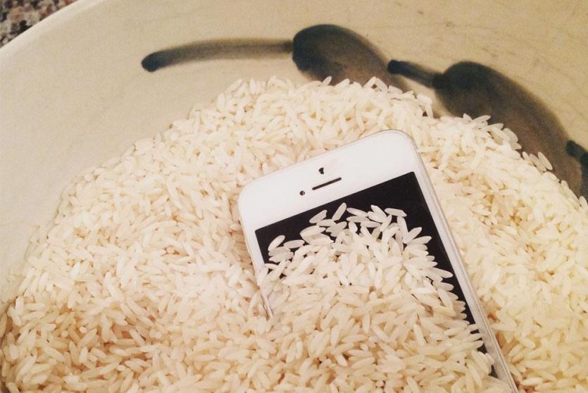 هاتف ذكي في الأرز