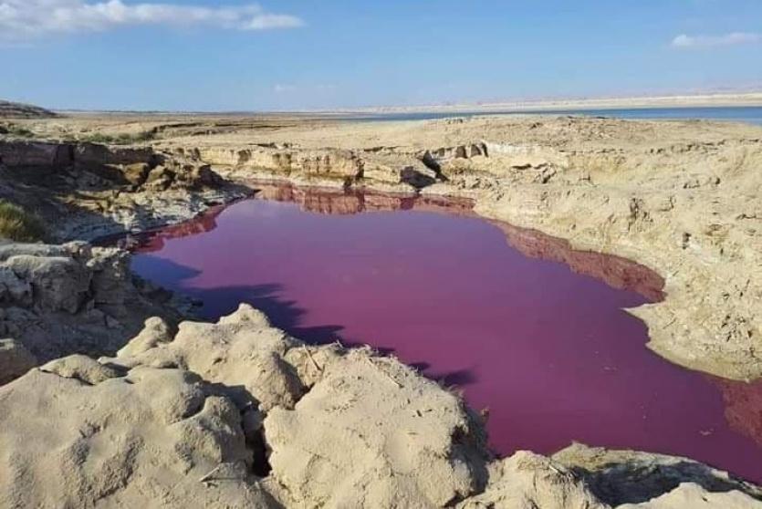 مياه حمراء قرب البحر الميت