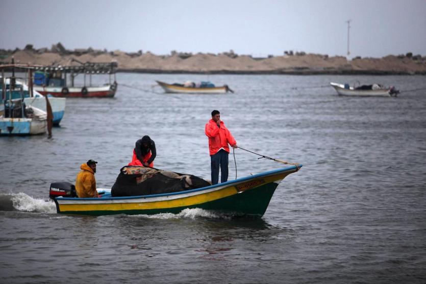 صيادون في بحر غزة - ارشيف
