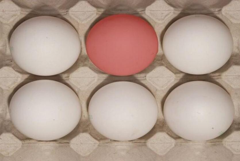 كم بيضة يمكن أن نأكل صحيا في الأسبوع؟