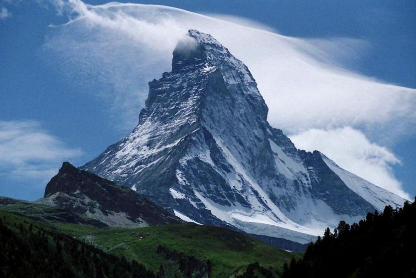 عثر على دلافين ما قبل التاريخ في جبال سويسرا