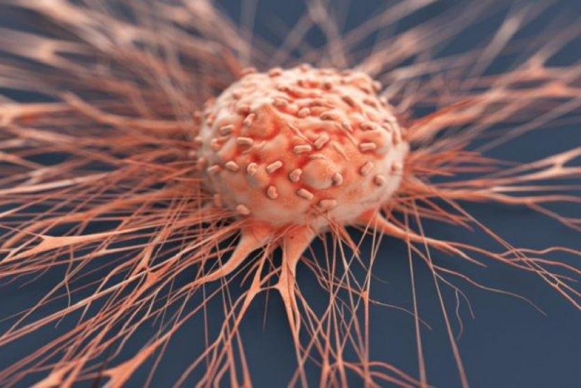 الفيروس يقلل من حجم أورام السرطان