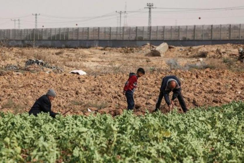 مزارعون في الأراضي الحدودية بقطاع غزة