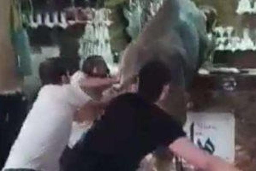 عجل يهاجم مقهى في مصر