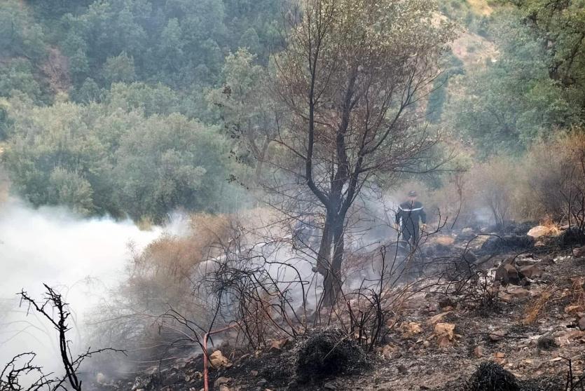  حرائق الغابات في الجزائر 