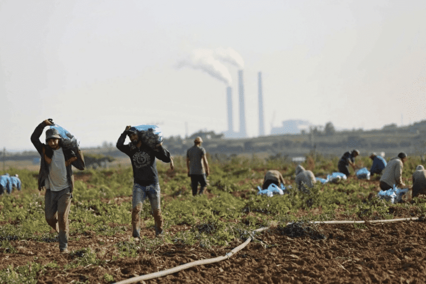 مزارعون في غزة - ارشيف