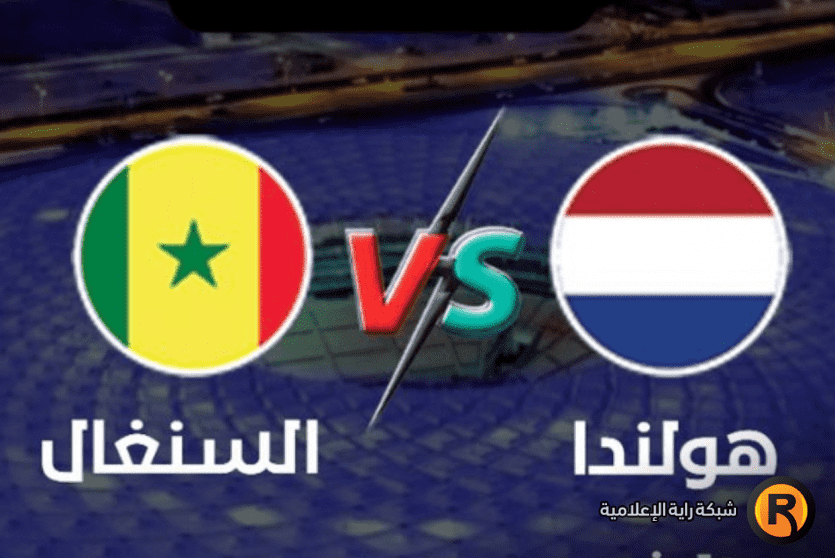 هولندا والسنغال