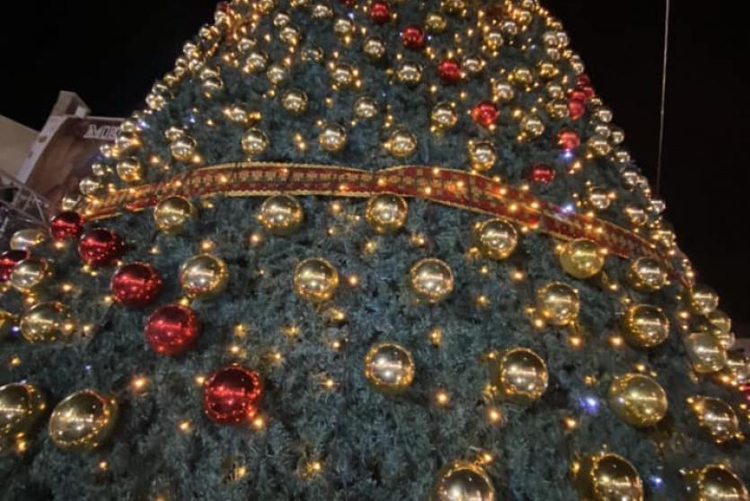 شجرة الميلاد في بيت ساحور