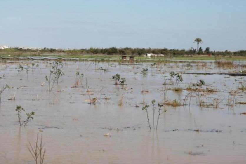 غرق الأراضي الزراعية الحدودية شرق خانيونس إثر فتح الاحتلال لعبارات مياه الأمطار
