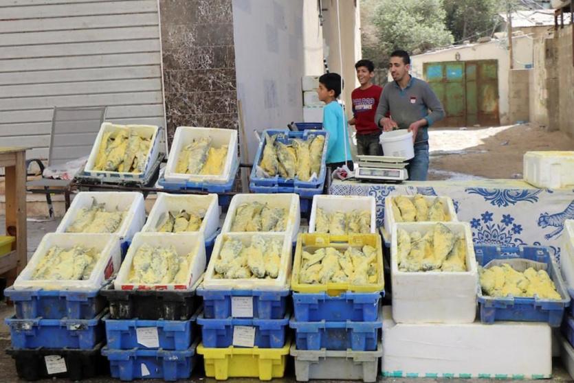 صورة توضيحية