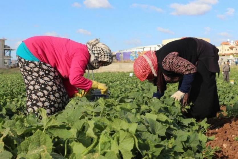 مزارعات فلسطينيات