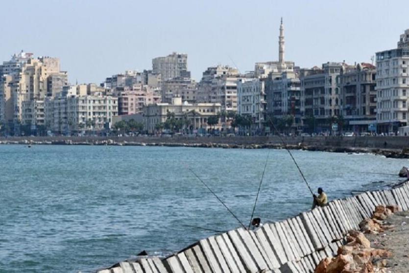 كائن بحري غريب يظهر على شواطئ الإسكندرية