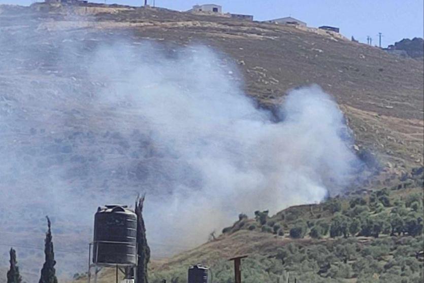 مستوطنون يحرقون اشجار زيتون في بورين