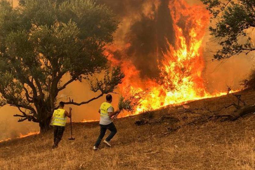  حرائق غابات شمال الجزائر