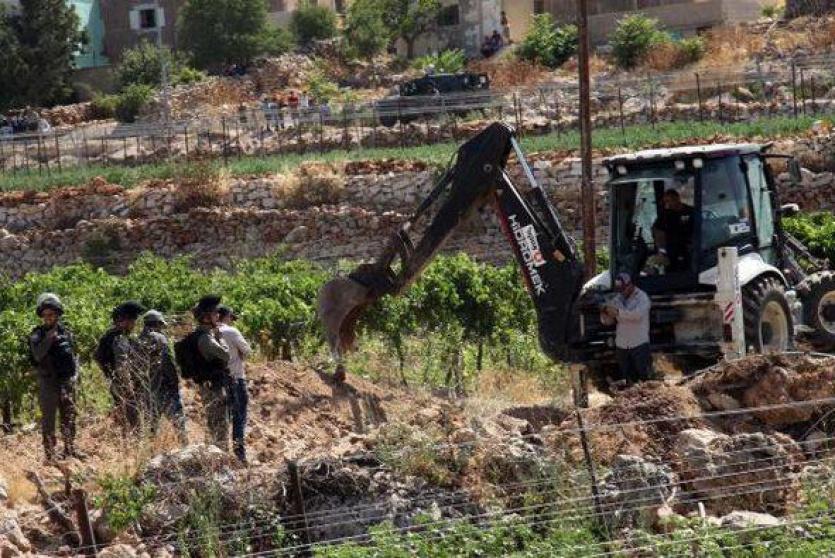 مستوطنون يقتلعون أشجار الزيتون من أراضي الفلسطينيين - أرشيف