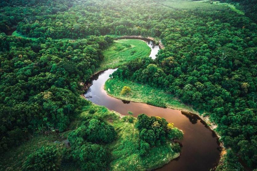 غابات الأمازون - ارشيف