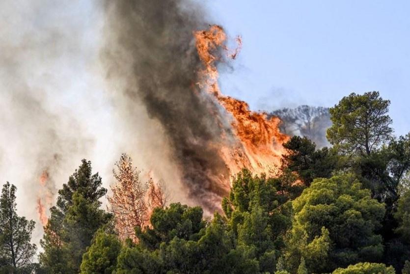 حرائق الغابات في اليونان - ارشيف