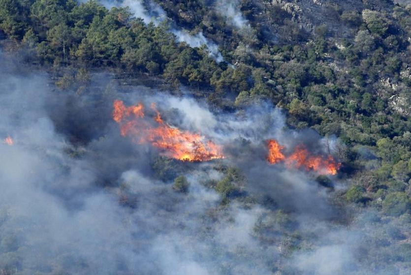 340 حريقا في كولومبيا 