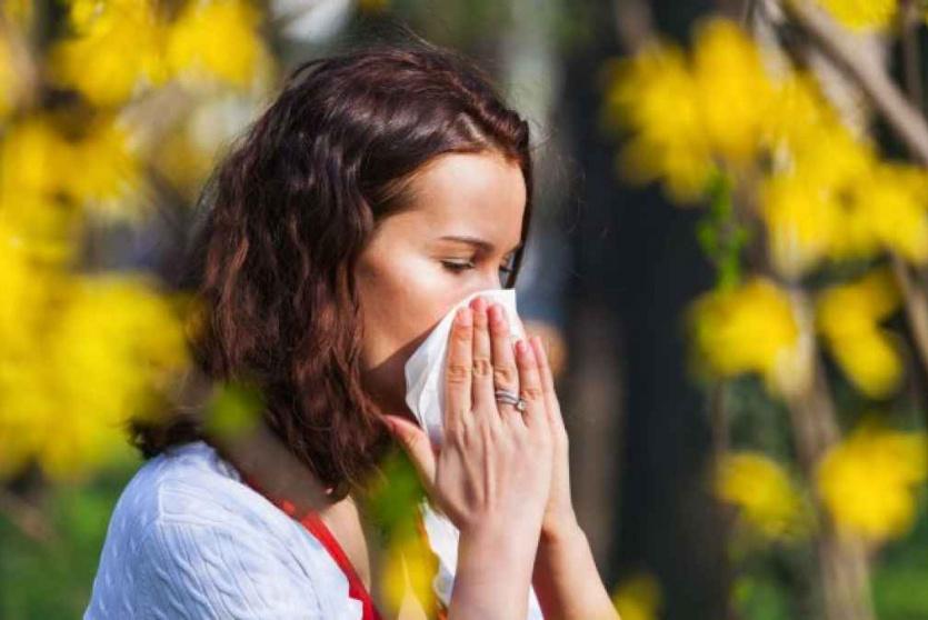 صورة توضيحية 