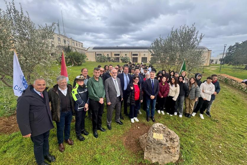 جانب من زراعة 