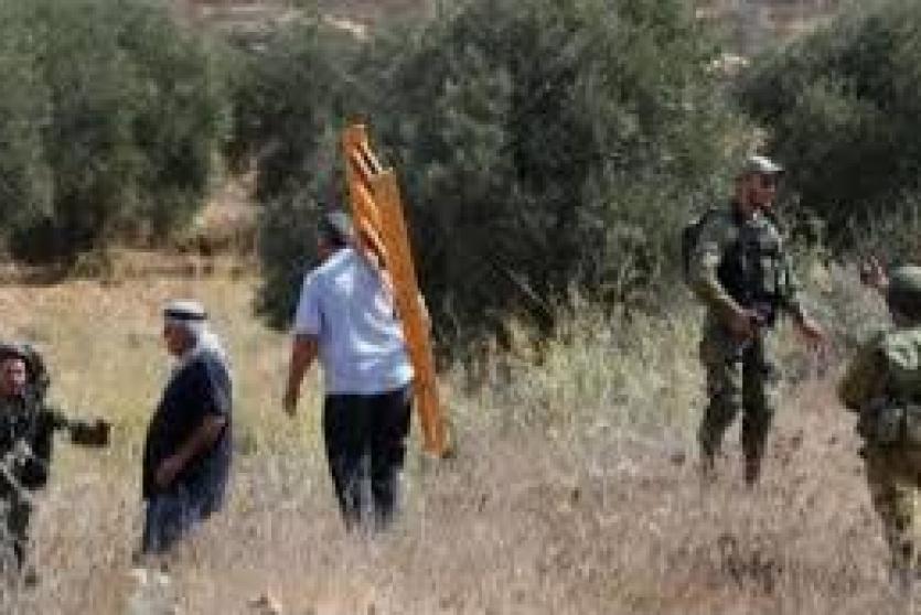 الاحتلال يحتجز عددا من المزارعين شرق طوباس