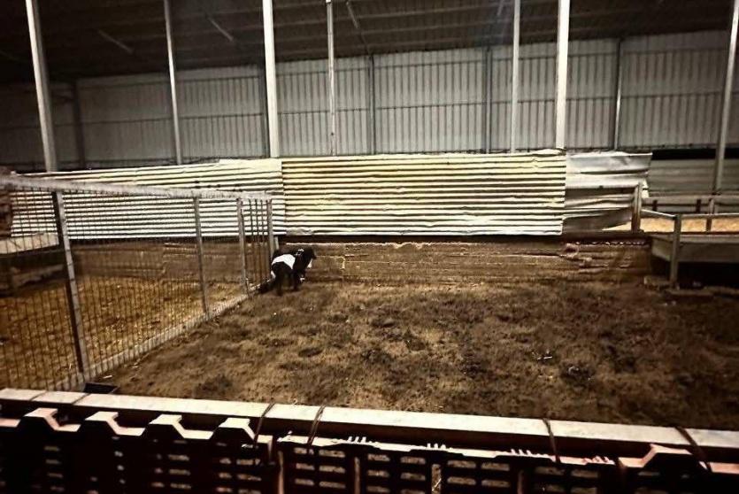 من مكان الاعتداء والسرقة