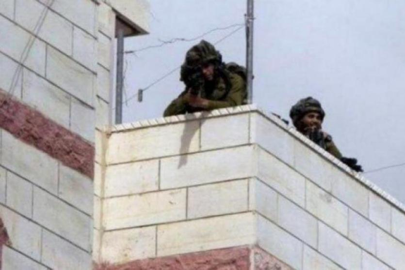 صورة من الارشيف