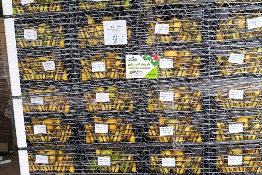 إعفاء الصادرات الزراعية الفلسطينية من الرسوم والغرامات على جسر الملك حسين