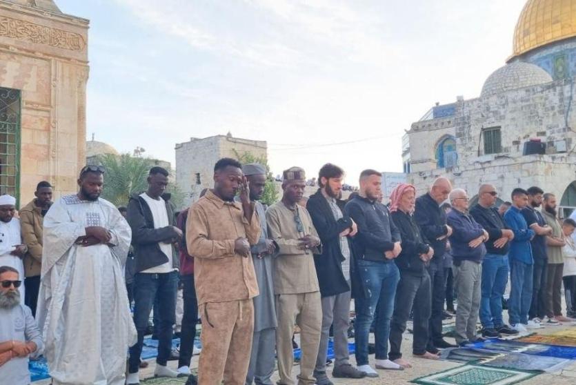 صورة من الارشيف