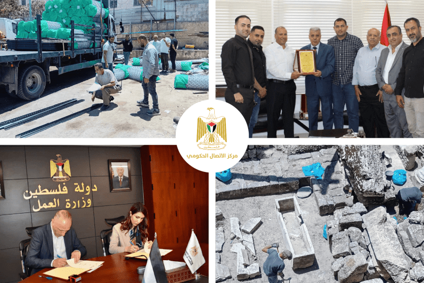 التدخلات الحكومية