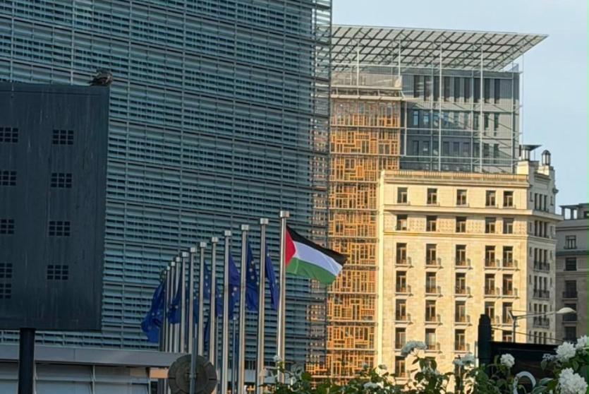 صورة من الارشيف