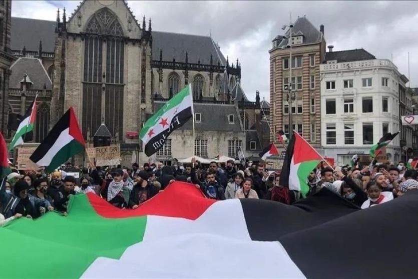 هولندا تحظر منتجات المستوطنات اعتبارا من 22 أيلول