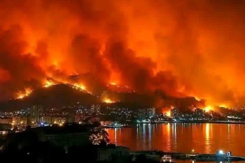 حرائق الجزائر