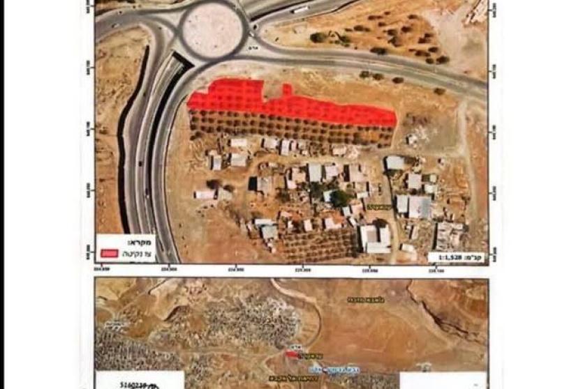 الاحتلال يخطر بإزالة أشجار زيتون والاستيلاء على أراض في جبع
