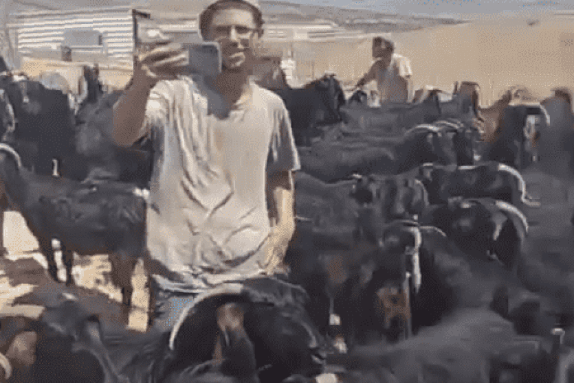 مستوطنون يهاجمون مجددا تجمع الكعابنة شرق الطيبة برام الله