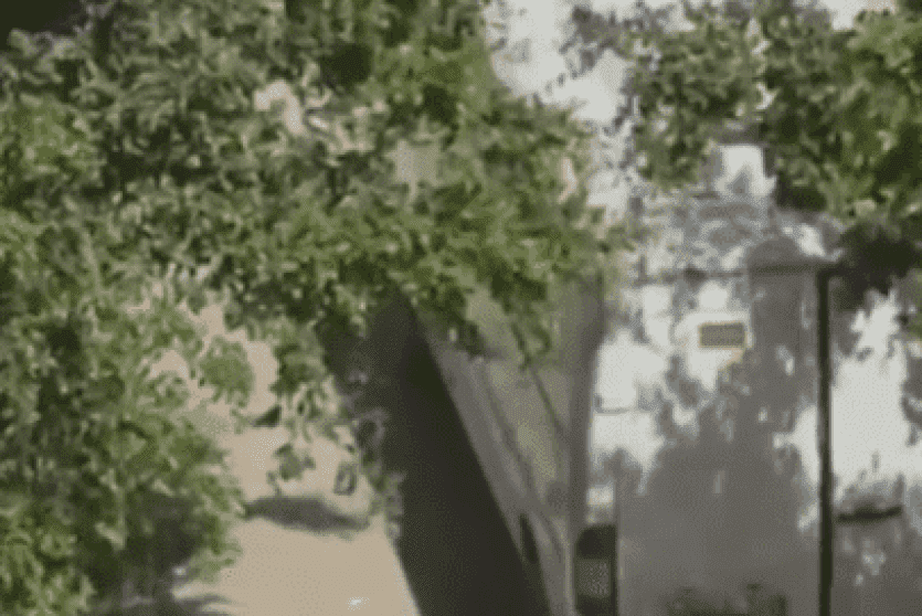 الداخلية بغزة تكشف تفاصيل تسلل قوة إسرائيلية واختطاف ضابط