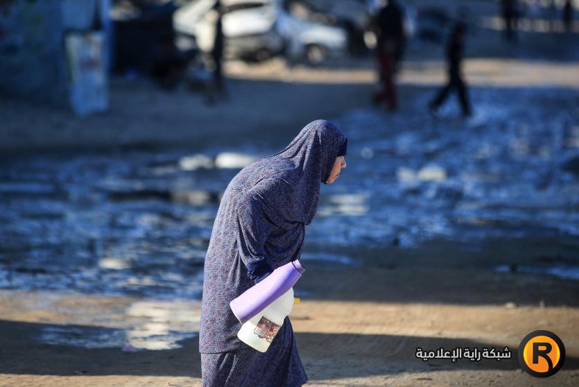 صورة من الارشيف