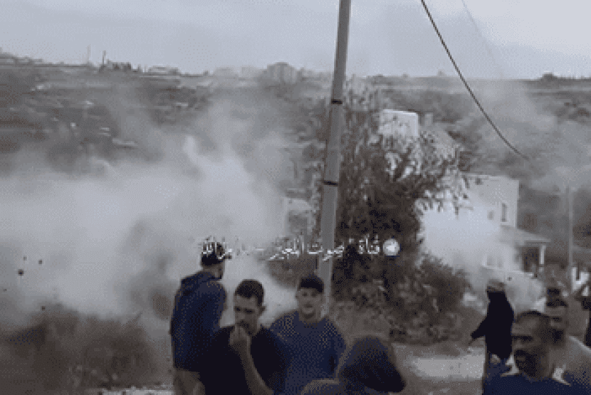 مستوطنون يستولون على مركبة ويسرقون زيتون ومعدات زراعية في عين يبرود