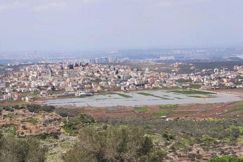 دير بلوط