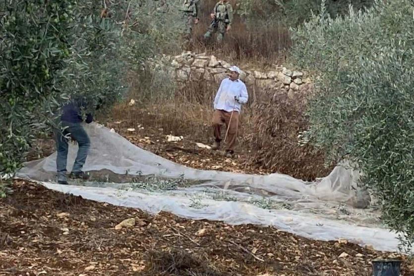 منع مواطنين من قطف الزيتون في ياصيد