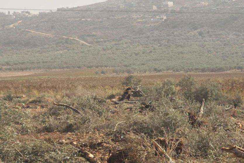 صورة ارشيفية