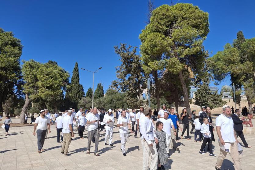 مستوطنون يقتحمون المسجد الأقصى