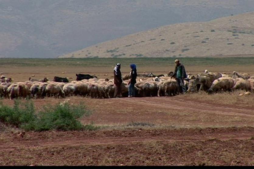 عطش في الغور