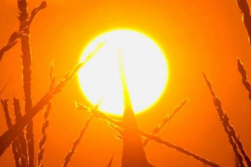 الحرارة أعلى من معدلها السنوي بحدود 3 درجات مئوية