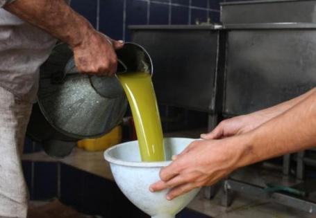 بنك للزيت الفلسطيني.. هل يكون خطوة لحماية جودة زيتنا وتعزيز قيمة الذهب الأخضر؟